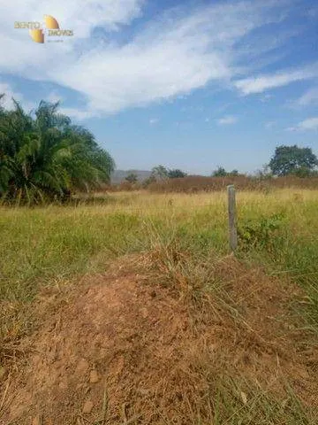 Fazenda à venda de 580 ha em Nobres, MT, Brasil