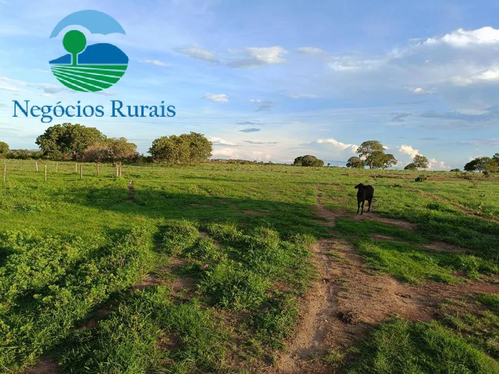 Fazenda à venda de 484 ha em Porangatu, GO, Brasil