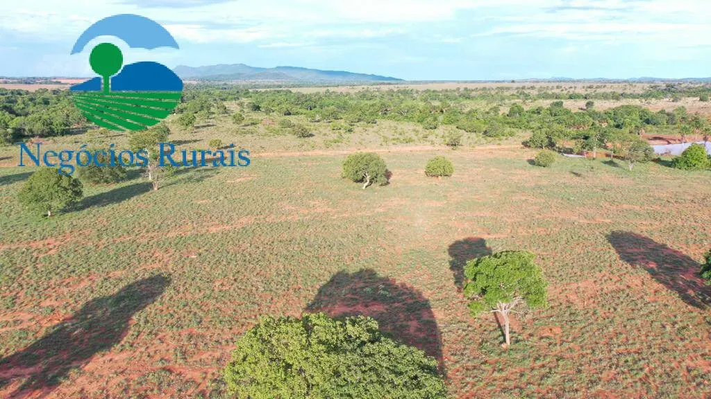 Fazenda à venda de 484 ha em Porangatu, GO, Brasil