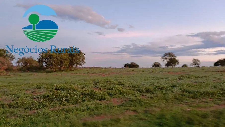 Fazenda à venda de 484 ha em Porangatu, GO, Brasil