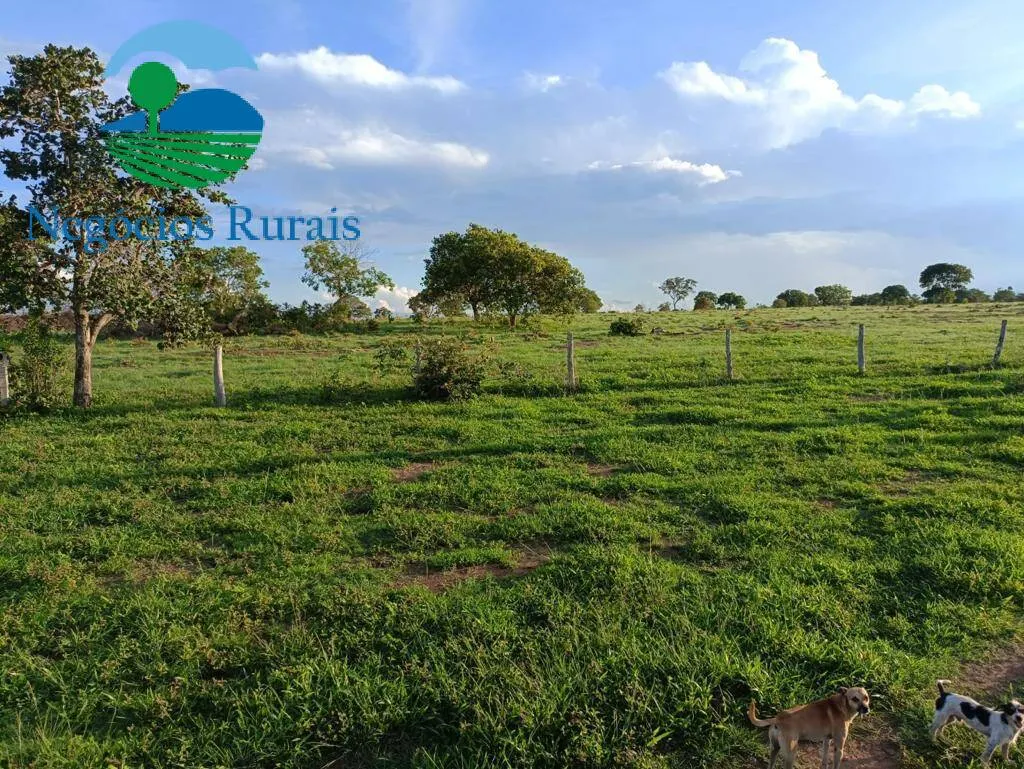 Fazenda à venda de 484 ha em Porangatu, GO, Brasil