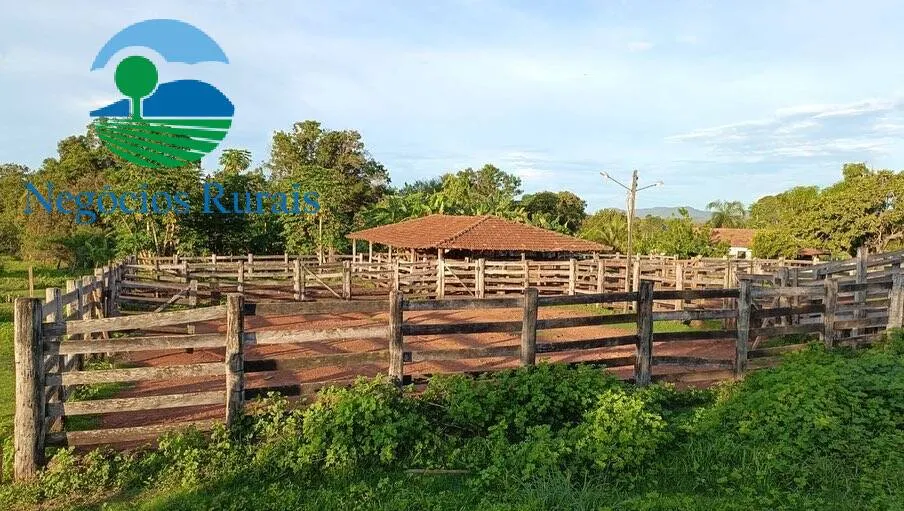 Fazenda à venda de 484 ha em Porangatu, GO, Brasil