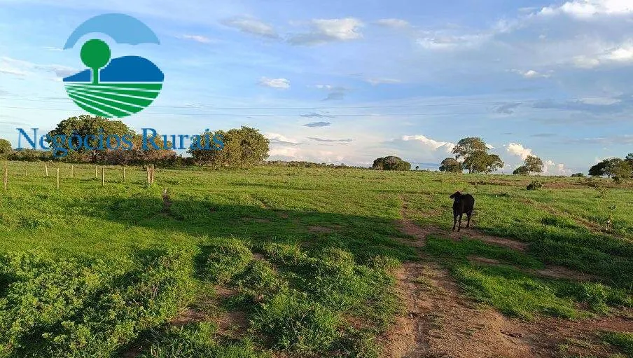 Fazenda à venda de 484 ha em Porangatu, GO, Brasil