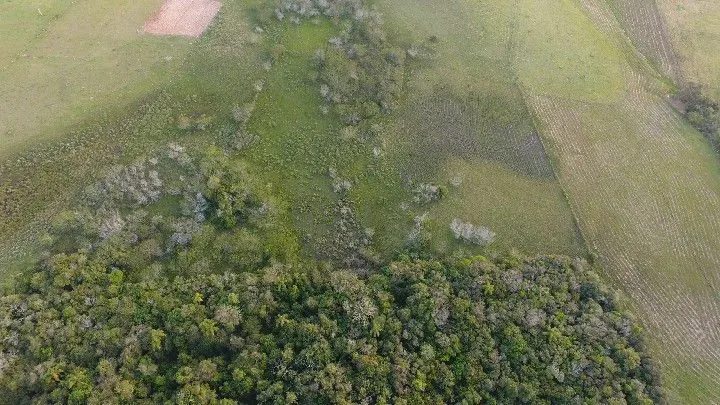 Plot for sale of 44 acres in Glorinha, RS, Brazil