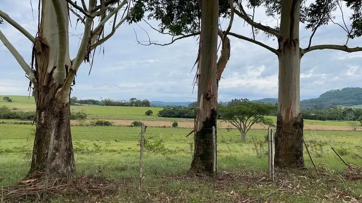 Plot for sale of 44 acres in Glorinha, RS, Brazil