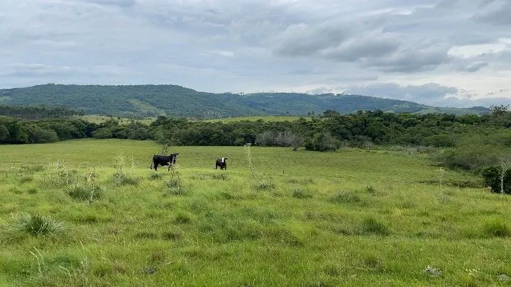 Plot for sale of 44 acres in Glorinha, RS, Brazil