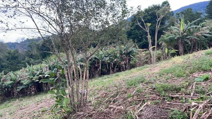 Country home for sale of 1 acres in Araricá, RS, Brazil