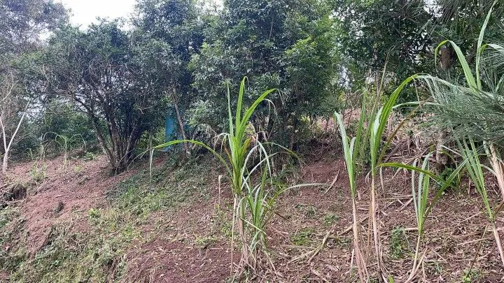 Country home for sale of 1 acres in Araricá, RS, Brazil