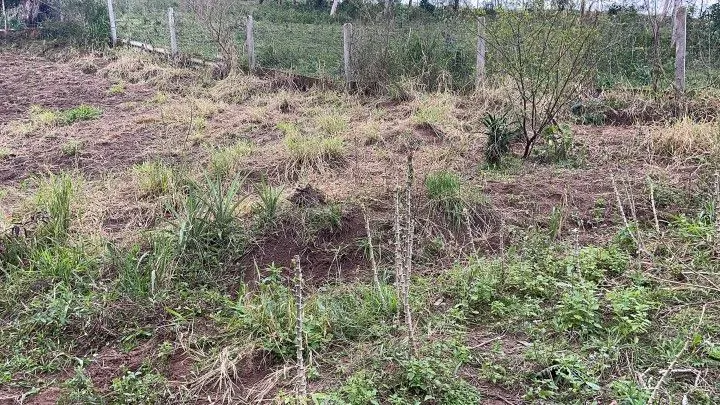 Country home for sale of 1 acres in Araricá, RS, Brazil