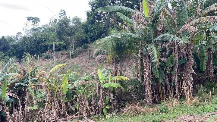 Country home for sale of 1 acres in Araricá, RS, Brazil