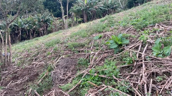 Country home for sale of 1 acres in Araricá, RS, Brazil