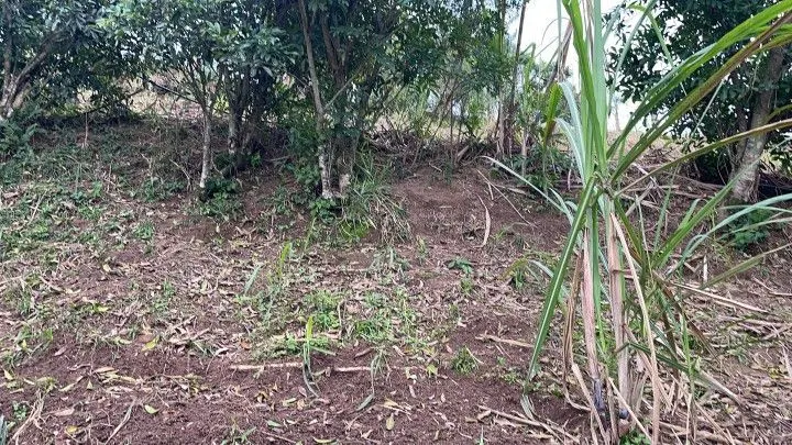 Country home for sale of 1 acres in Araricá, RS, Brazil
