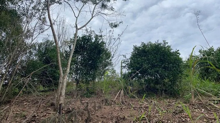Country home for sale of 1 acres in Araricá, RS, Brazil