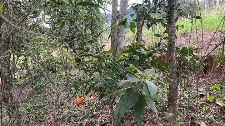 Country home for sale of 1 acres in Araricá, RS, Brazil