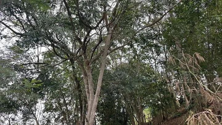 Country home for sale of 1 acres in Araricá, RS, Brazil