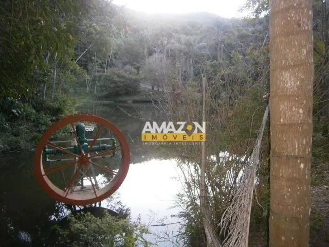 Fazenda à venda de 115 ha em Pindamonhangaba, SP, Brasil