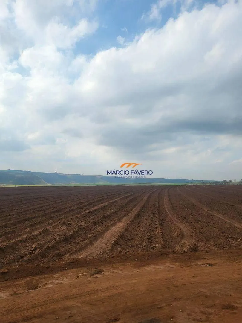 Fazenda à venda de 121 ha em Gavião Peixoto, SP, Brasil