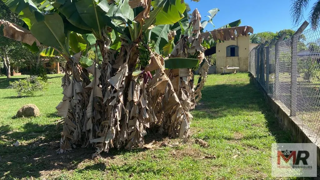 Chácara à venda de 5.000 m² em São Sebastião da Bela Vista, MG, Brasil
