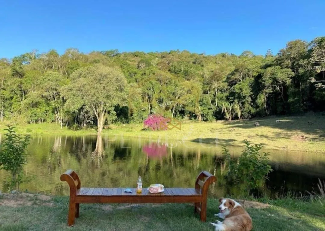 Small farm for sale of 42 acres in São Roque, SP, Brazil