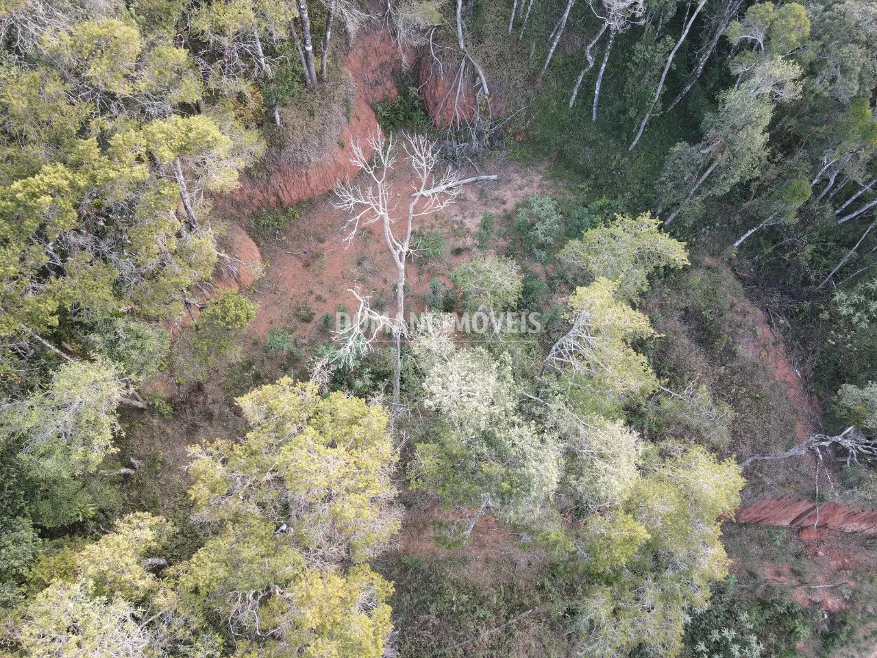 Terreno à venda de 1.010 m² em Campos do Jordão, SP, Brasil