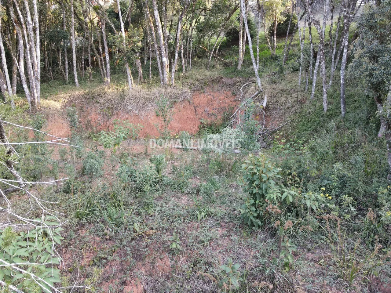 Terreno à venda de 1.010 m² em Campos do Jordão, SP, Brasil