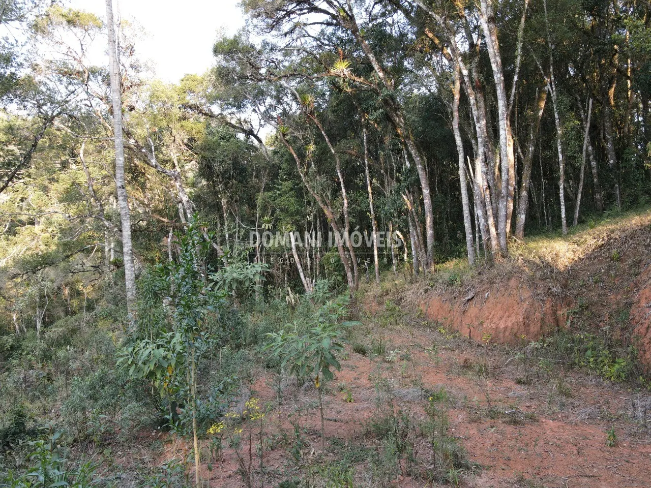 Terreno à venda de 1.010 m² em Campos do Jordão, SP, Brasil