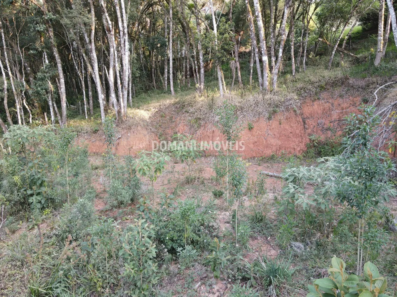 Terreno à venda de 1.010 m² em Campos do Jordão, SP, Brasil