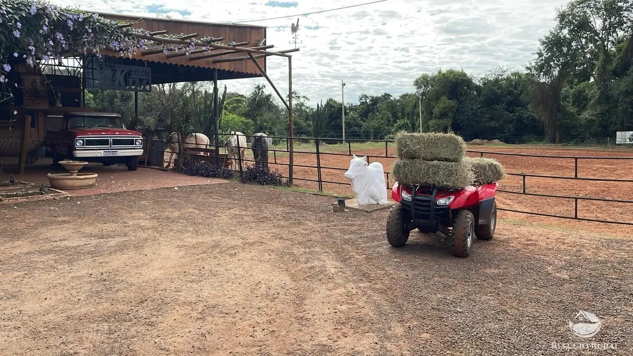 Small farm for sale of 10 acres in Rolândia, PR, Brazil