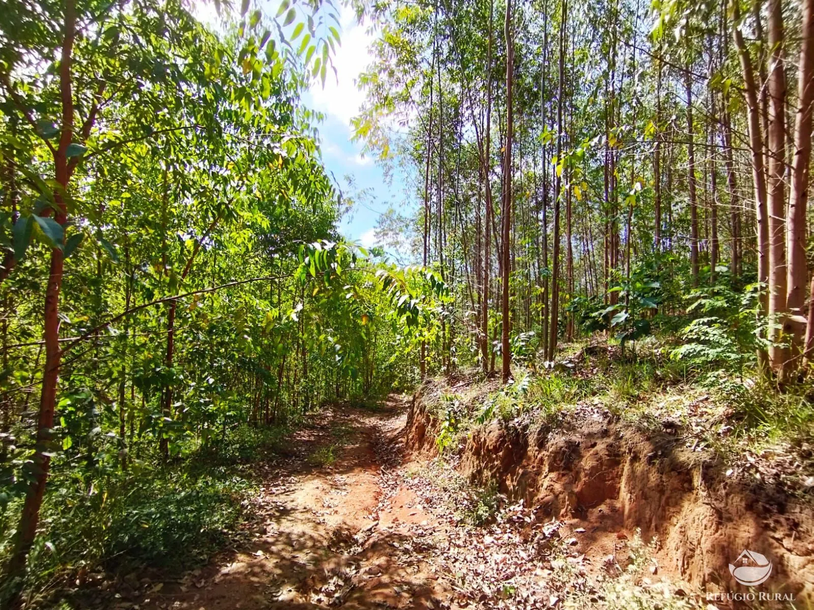 Small farm for sale of 143 acres in Igaratá, SP, Brazil
