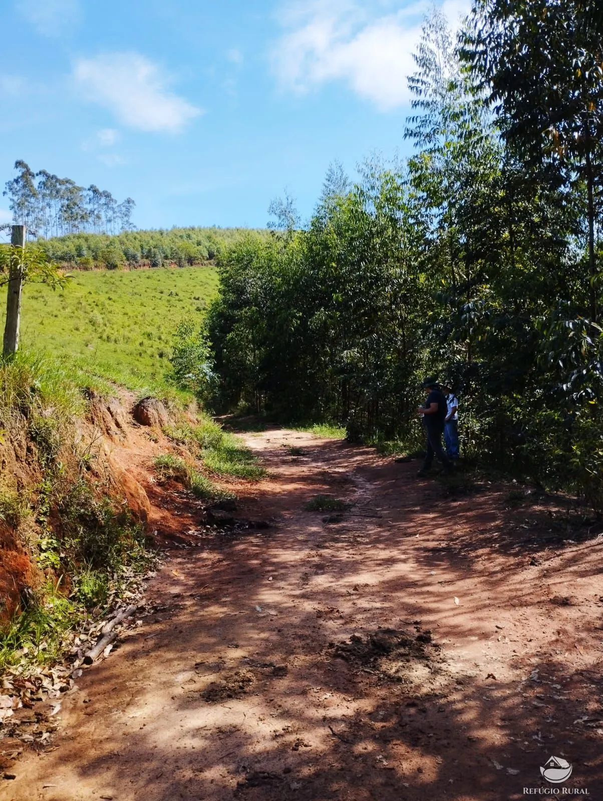 Small farm for sale of 143 acres in Igaratá, SP, Brazil