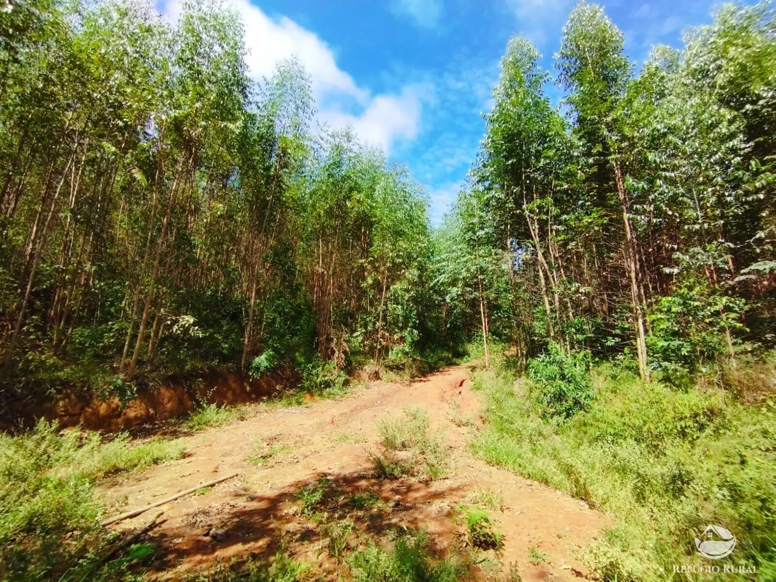Small farm for sale of 143 acres in Igaratá, SP, Brazil