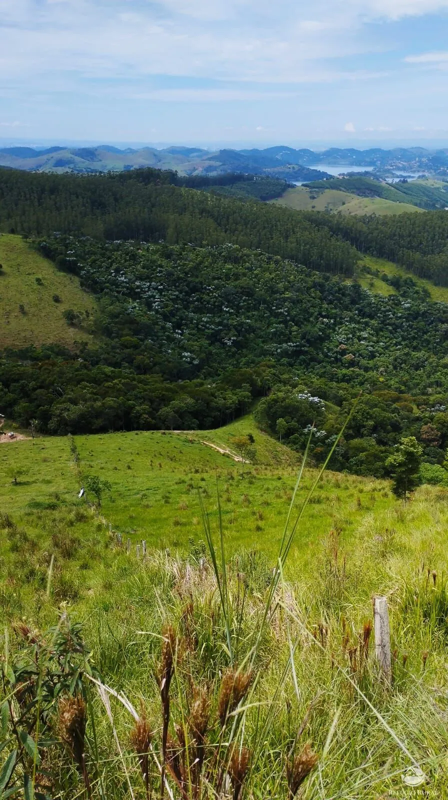 Small farm for sale of 143 acres in Igaratá, SP, Brazil