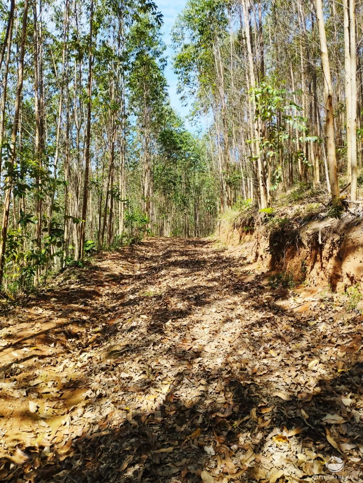 Small farm for sale of 143 acres in Igaratá, SP, Brazil