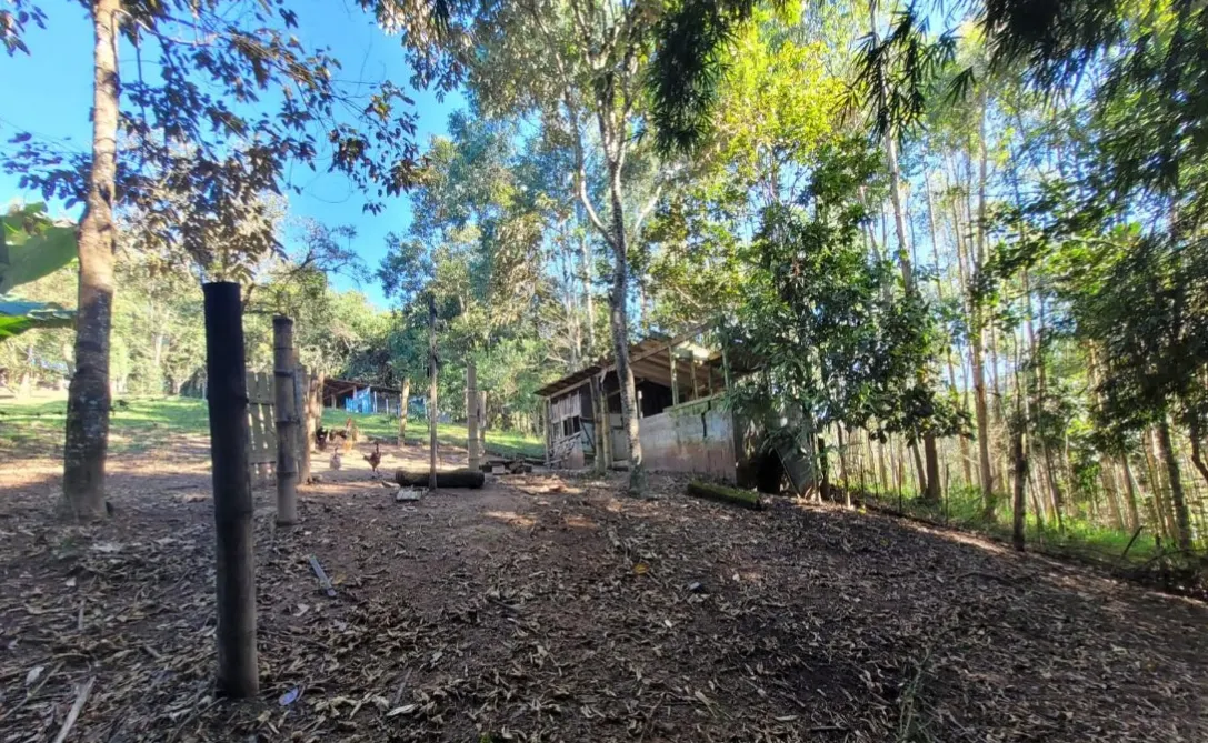 Sítio à venda de 4 ha em Santa Isabel, SP, Brasil