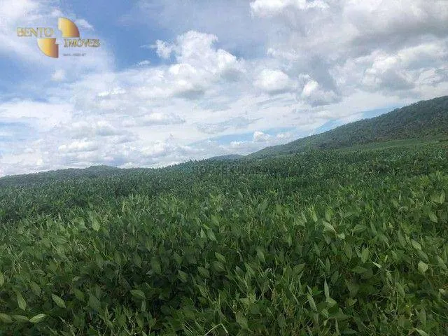 Fazenda à venda de 4.890 ha em Santo Antônio do Leverger, MT, Brasil