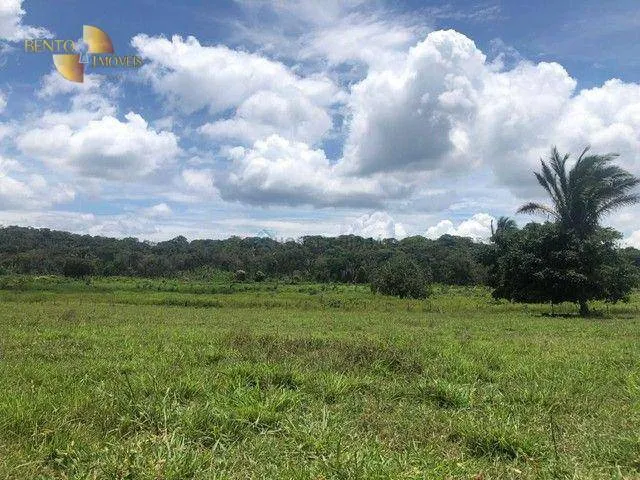 Fazenda à venda de 4.890 ha em Santo Antônio do Leverger, MT, Brasil