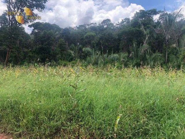 Fazenda à venda de 4.890 ha em Santo Antônio do Leverger, MT, Brasil