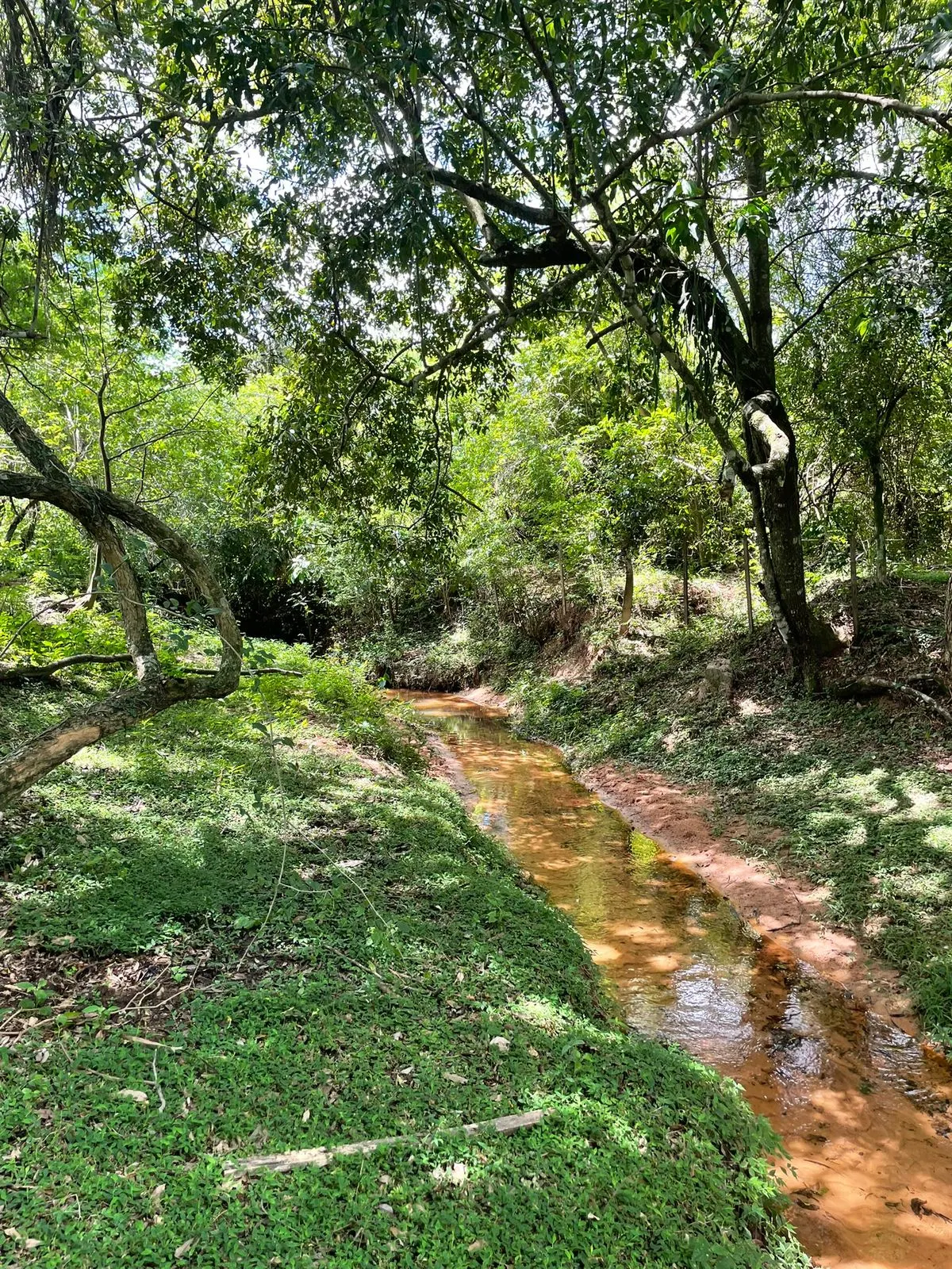 Fazenda à venda de 7 ha em Yaguarón, Paraguai