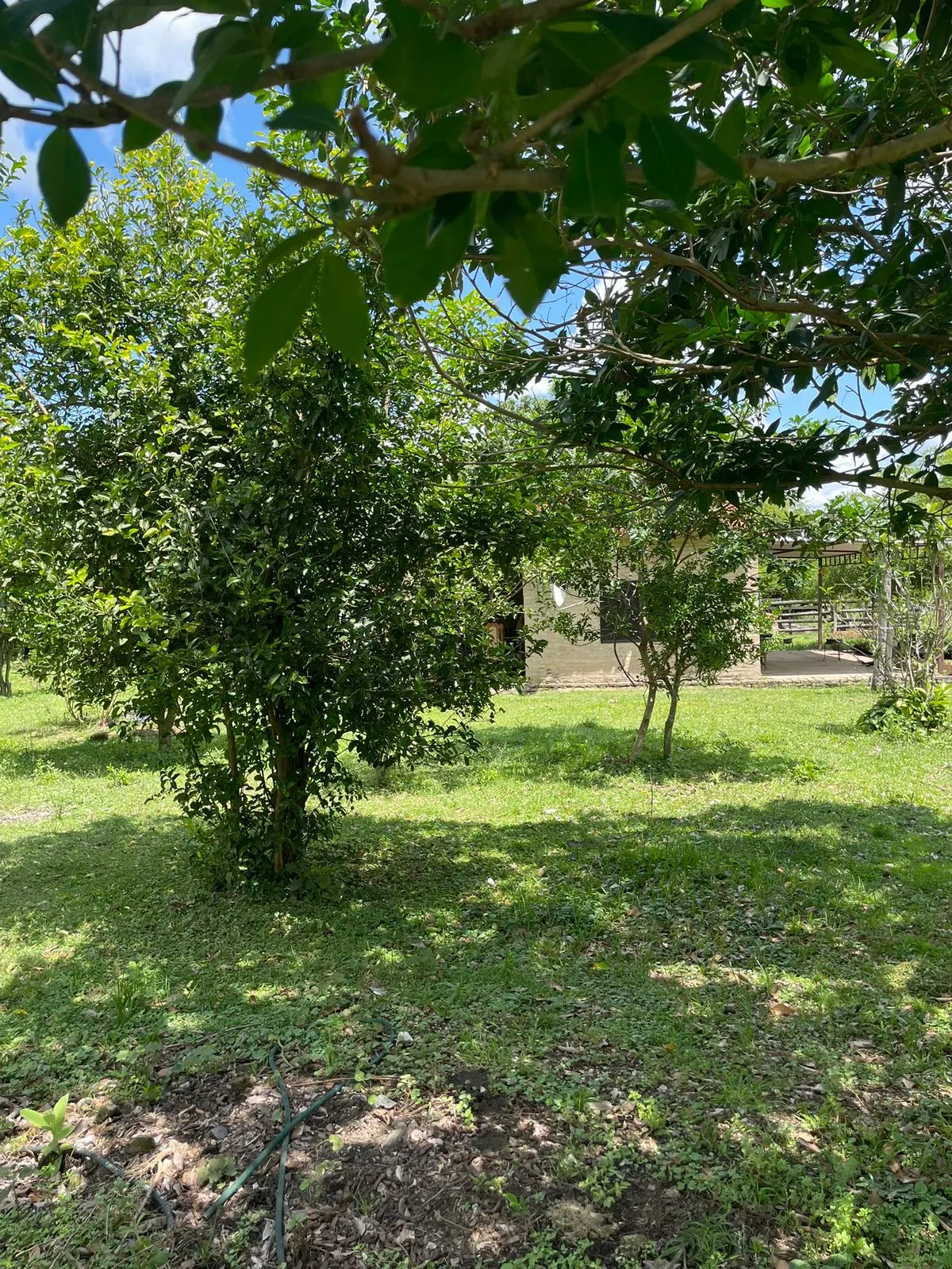 Fazenda à venda de 7 ha em Yaguarón, Paraguai