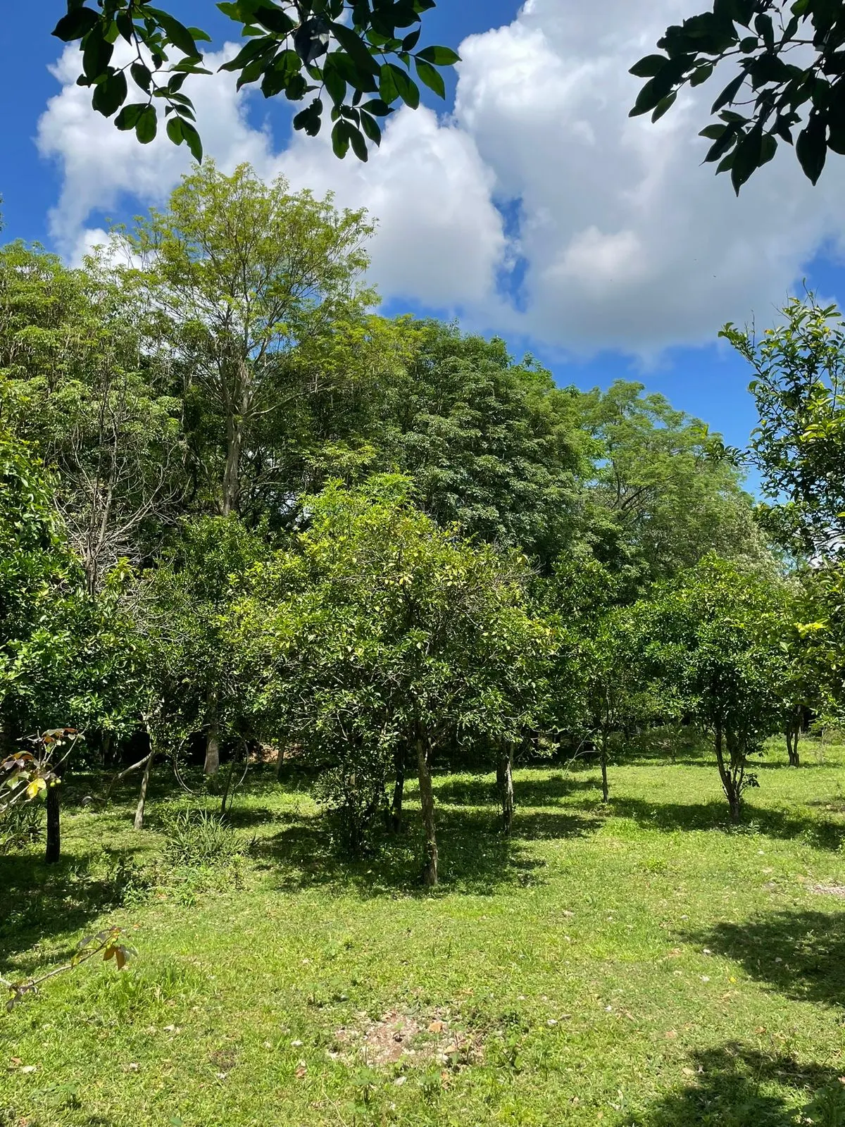 Fazenda à venda de 7 ha em Yaguarón, Paraguai