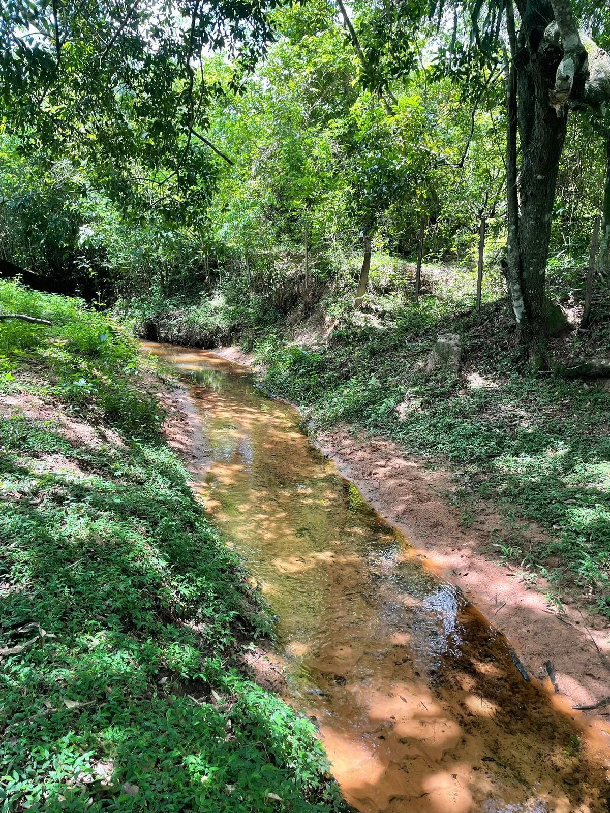 Fazenda à venda de 7 ha em Yaguarón, Paraguai
