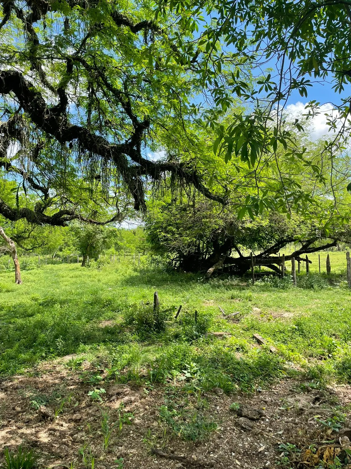 Fazenda à venda de 7 ha em Yaguarón, Paraguai