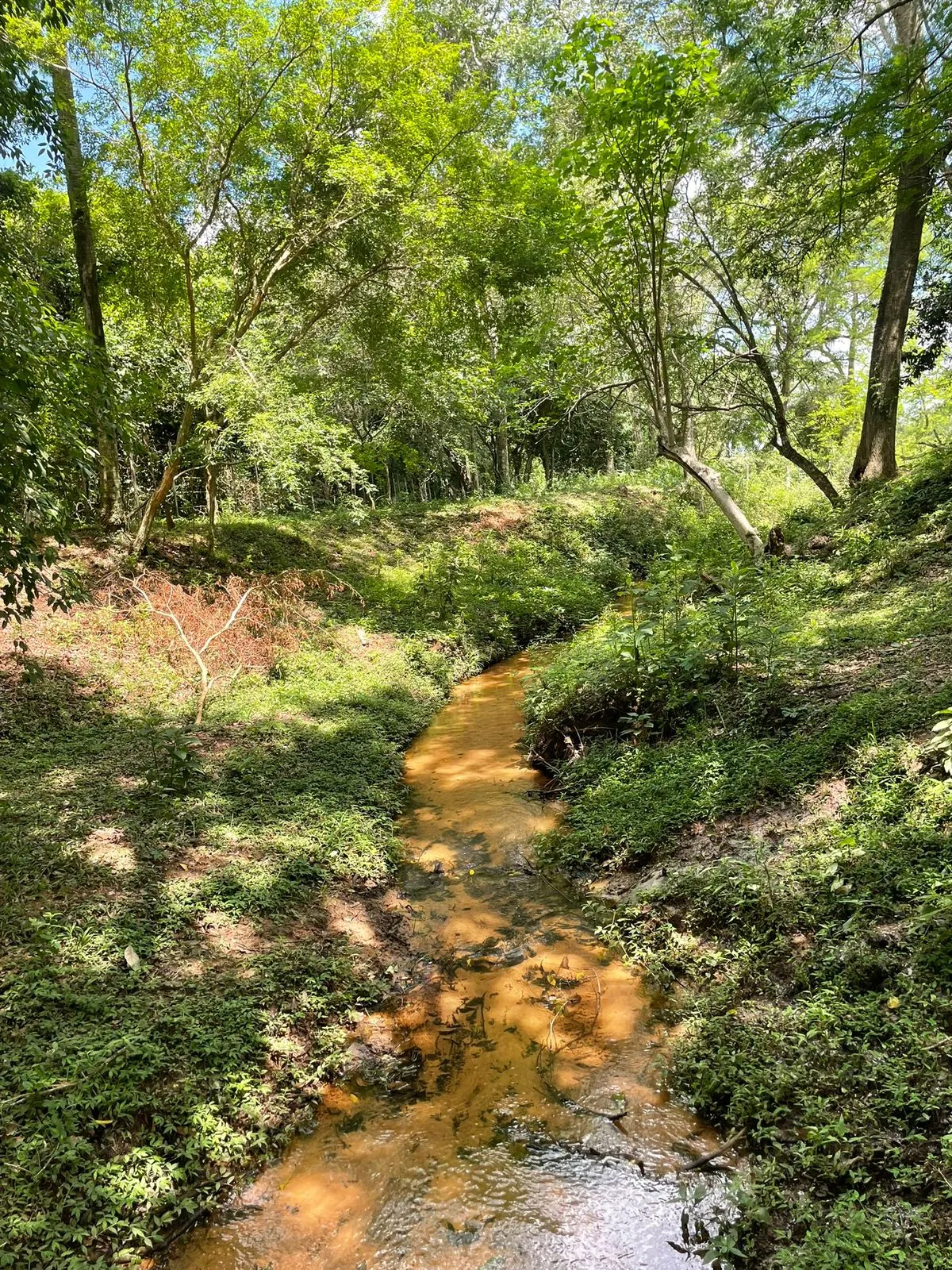 Fazenda à venda de 7 ha em Yaguarón, Paraguai