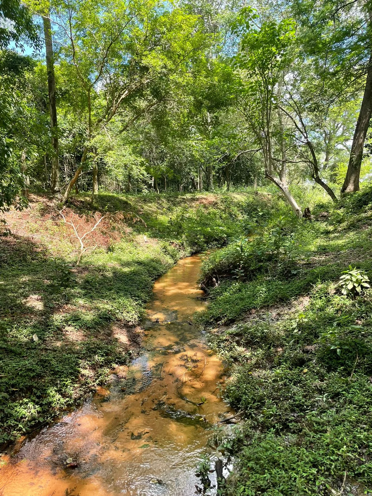 Fazenda à venda de 7 ha em Yaguarón, Paraguai