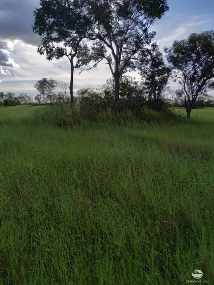 Fazenda à venda de 7.800 ha em Luciara, MT, Brasil
