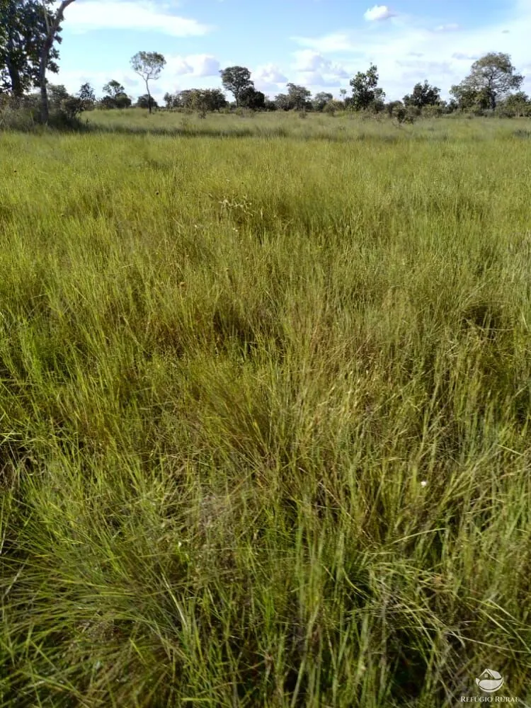 Fazenda à venda de 7.800 ha em Luciara, MT, Brasil