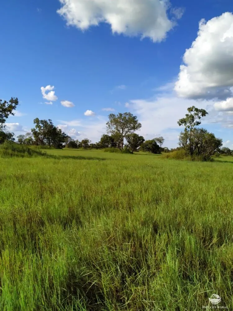 Fazenda à venda de 7.800 ha em Luciara, MT, Brasil