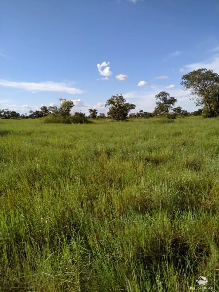 Fazenda à venda de 7.800 ha em Luciara, MT, Brasil