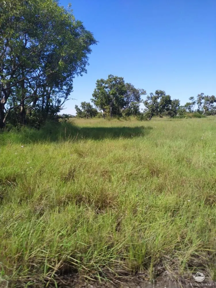 Fazenda à venda de 7.800 ha em Luciara, MT, Brasil