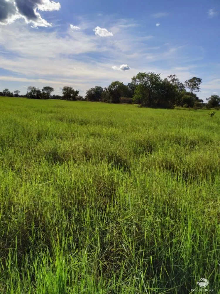 Fazenda à venda de 7.800 ha em Luciara, MT, Brasil